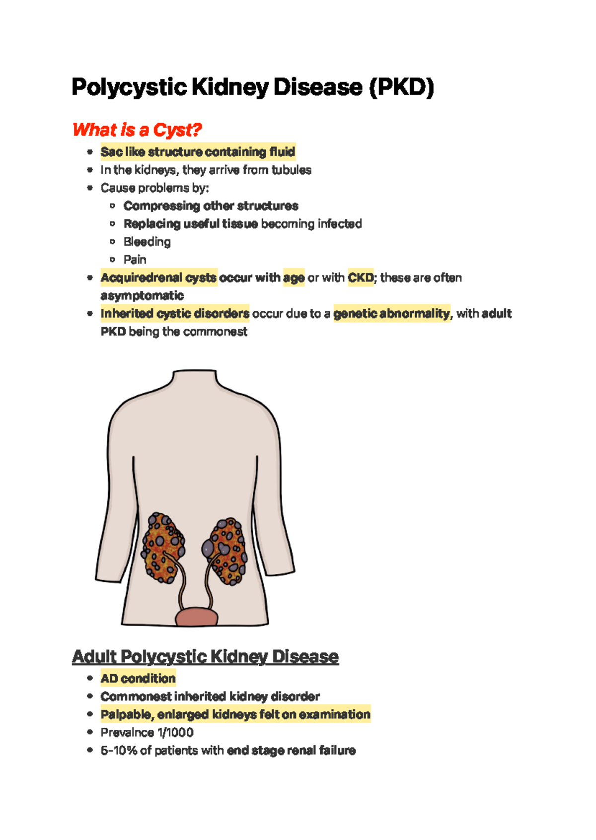 Polycystic Kidney Disease (PKD) Po l yc y s t i c K i d n ey D i s e