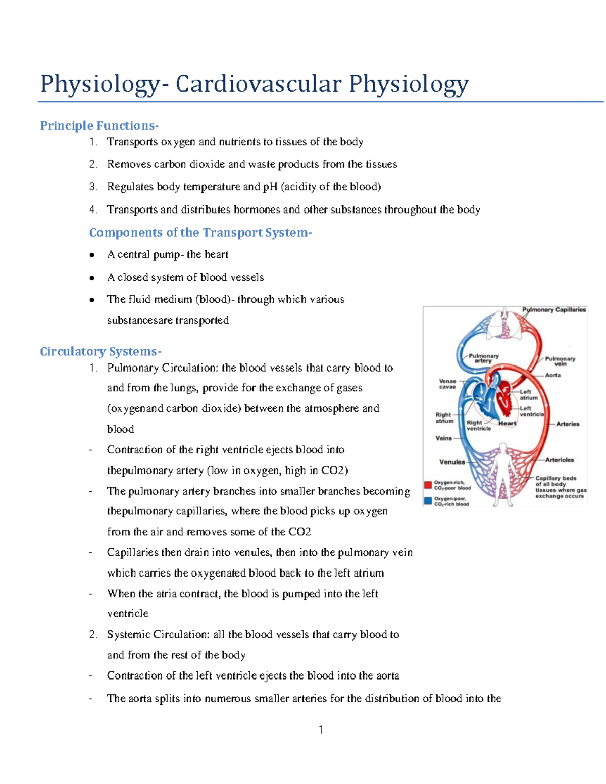 Physiology Cardiovascular Physiology Physiology Cardiovascular Physiology Cardiovascular Physiology Physiology Cardiovascular