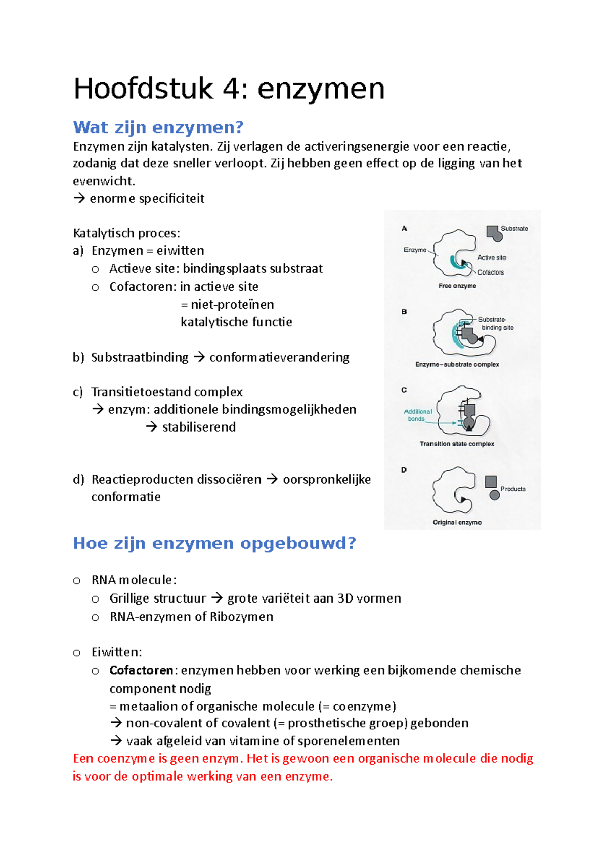 Hoofdstuk 4 enzymen Hoofdstuk 4 enzymen Wat zijn enzymen? Enzymen
