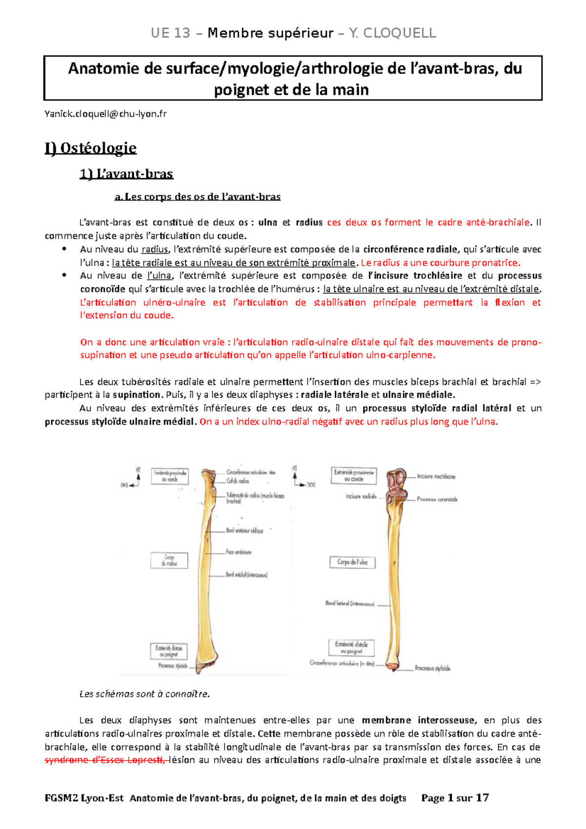Anant bras Résumé de cours Licence médecine. Anatomie de
