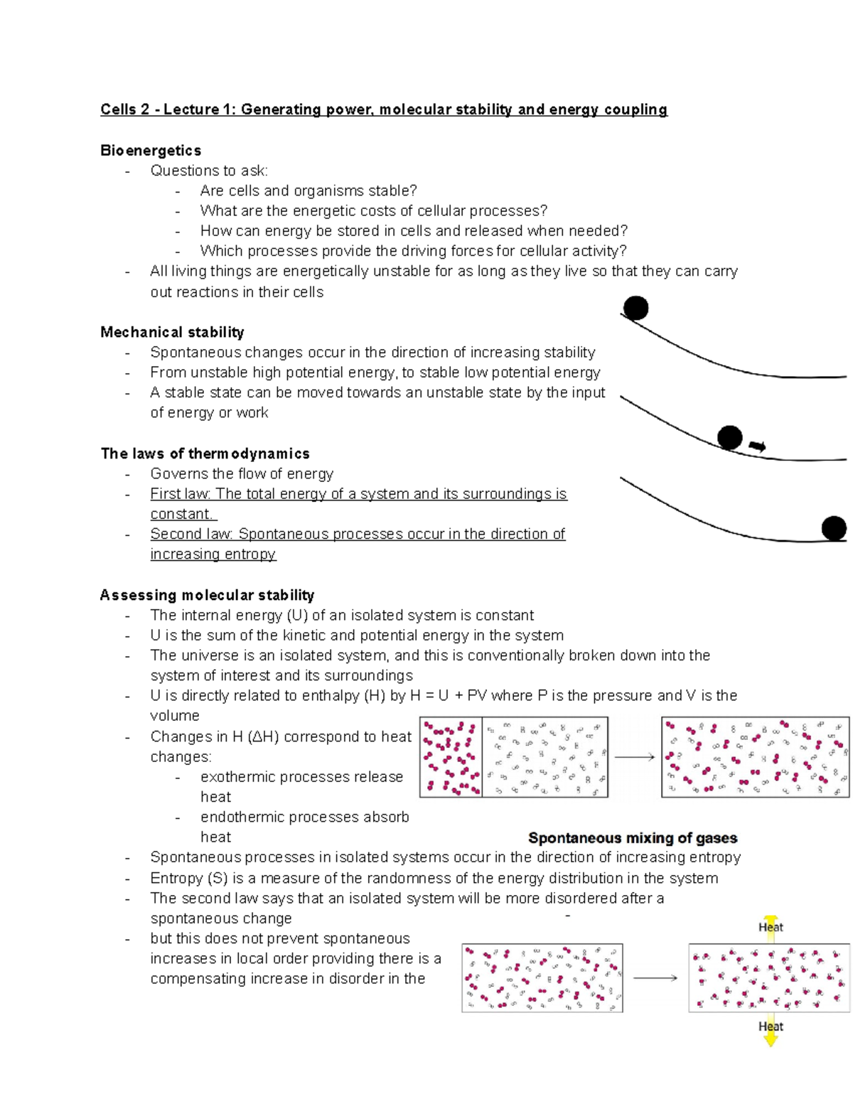 Cells 2 - Lecture 1 Generating power 1 - Cells 2 - Lecture 1 ...