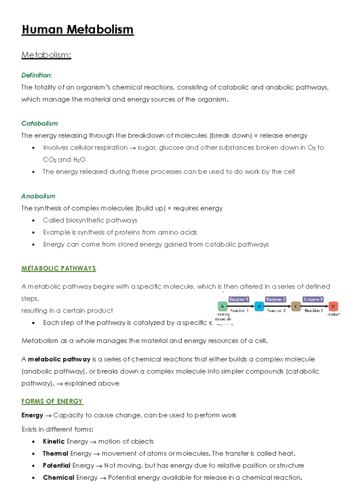 Summary Intrduction to Medical Sciences 1 Biology Diagrams