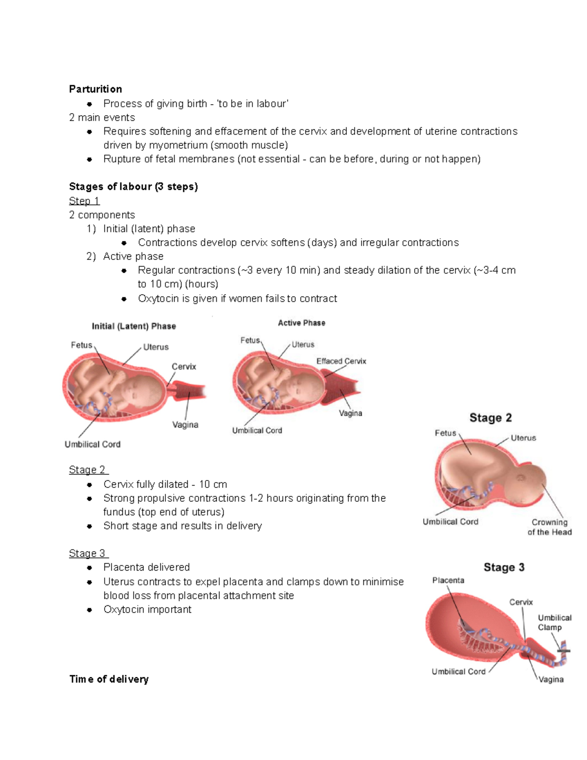 physiology-of-parturition-and-lactation-parturition-process-of-giving