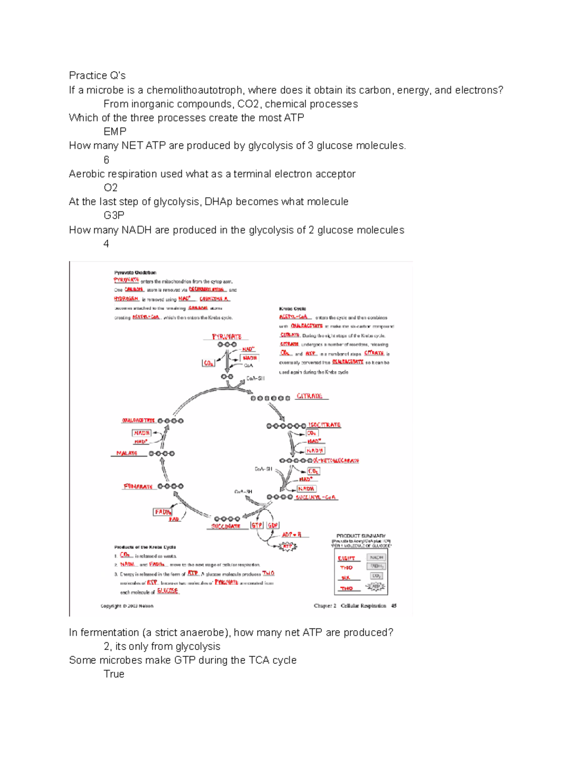 Practice Questions Practice Q’s If a microbe is a chemolithoautotroph