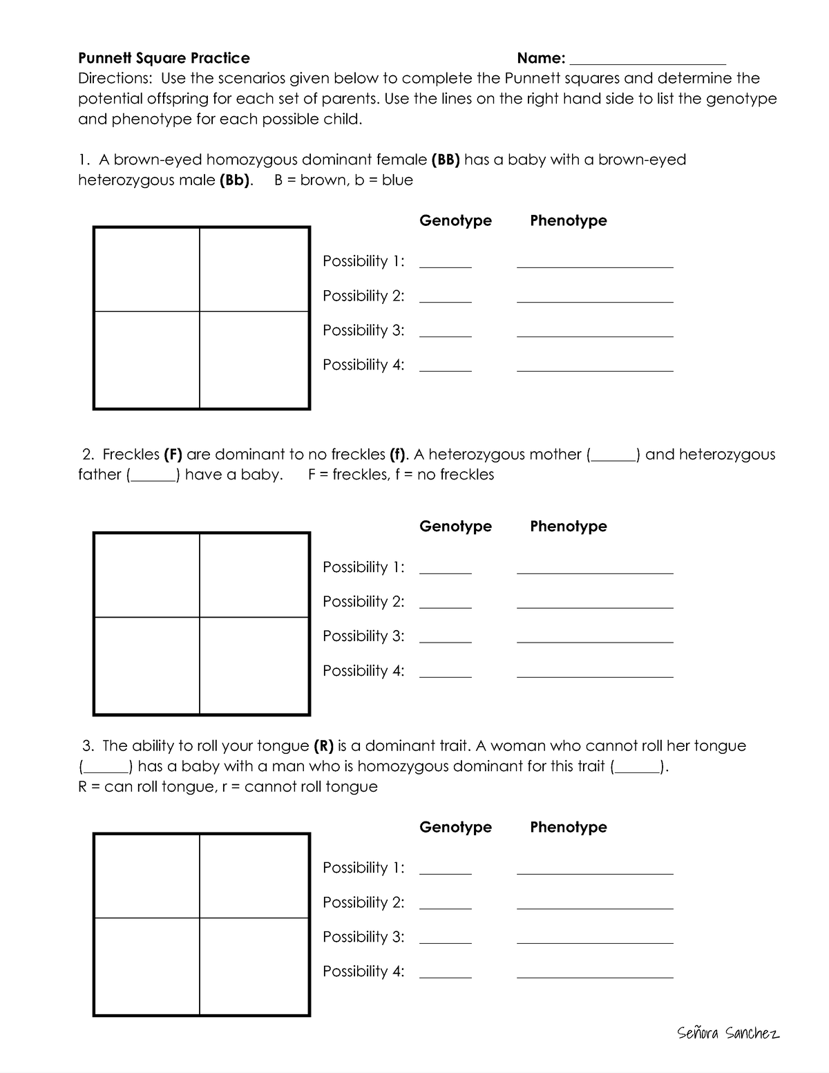 punnett-square-practice-worksheet-1-bio-115-studocu