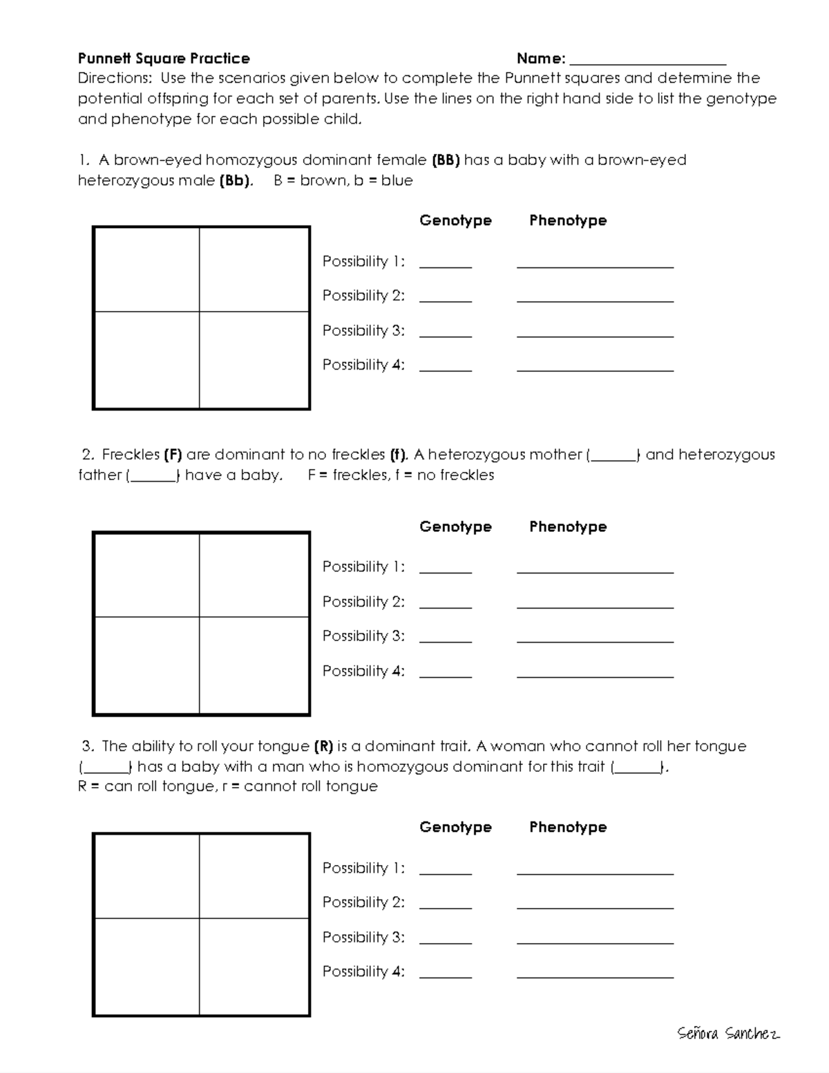 Punnett Square Practice Worksheet 1 BIO 115 Studocu