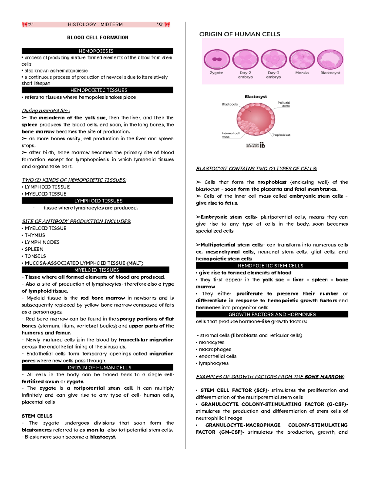 Blood CELL Formation - Midterm - 🎀♡.’ HISTOLOGY - MIDTERM ‘.♡ 🎀 BLOOD ...