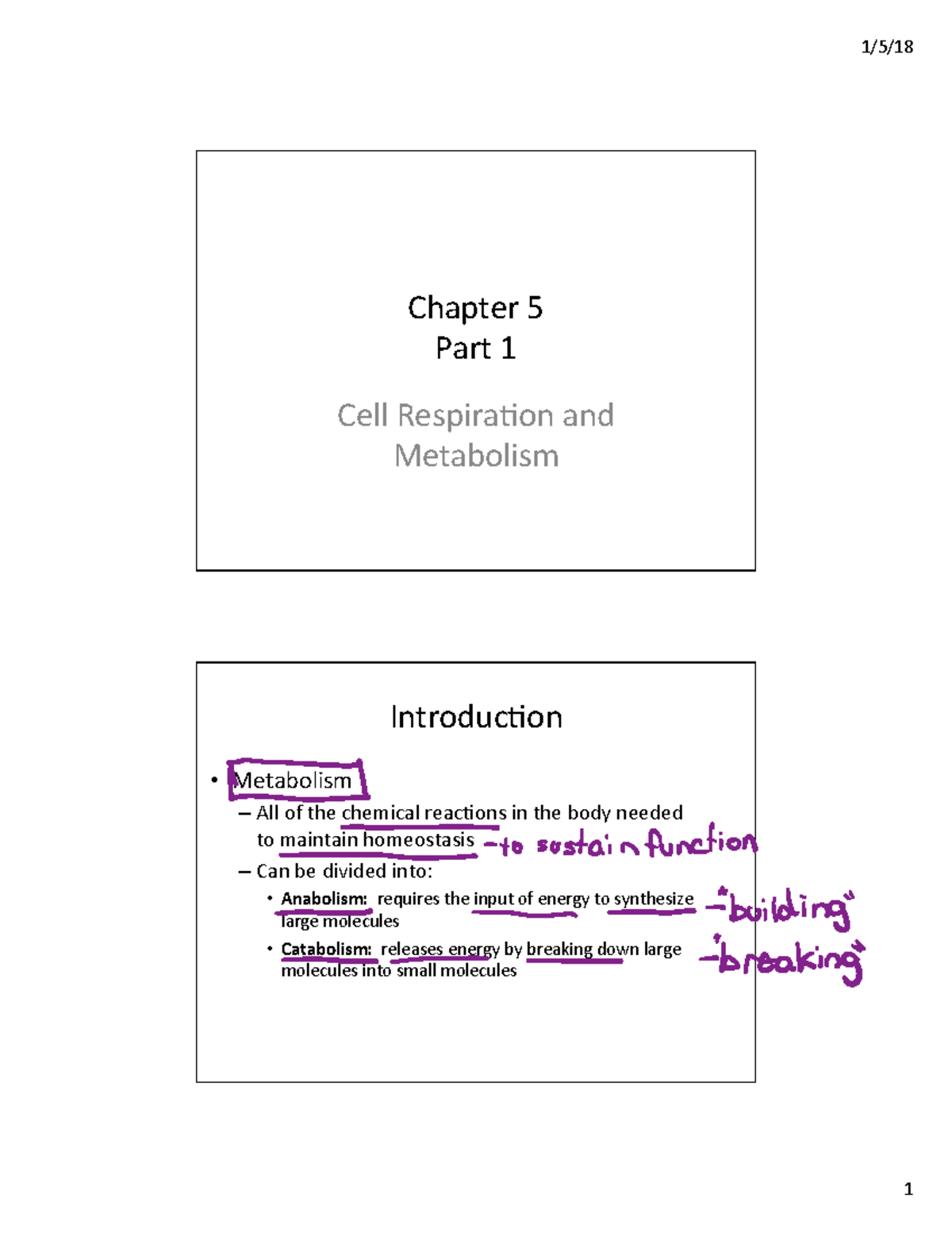 Chapter 5 Lecture - Chapter%5% Part%1% Cell%Respira2on%and% Metabolism ...