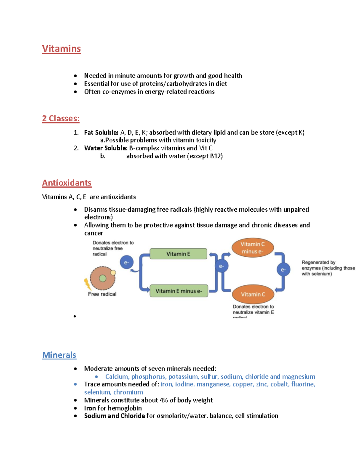 Anatomy worksheet - Vitamins Needed in minute amounts for growth and ...