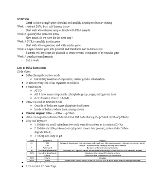 Pipetting Worksheet - Pipetting Worksheet Part 1: Pipettes Go to - Studocu