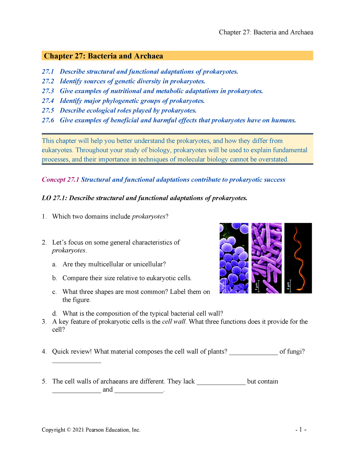 Ch 27 Active Reading Guide - Chapter 27: Bacteria And Archaea 27 ...