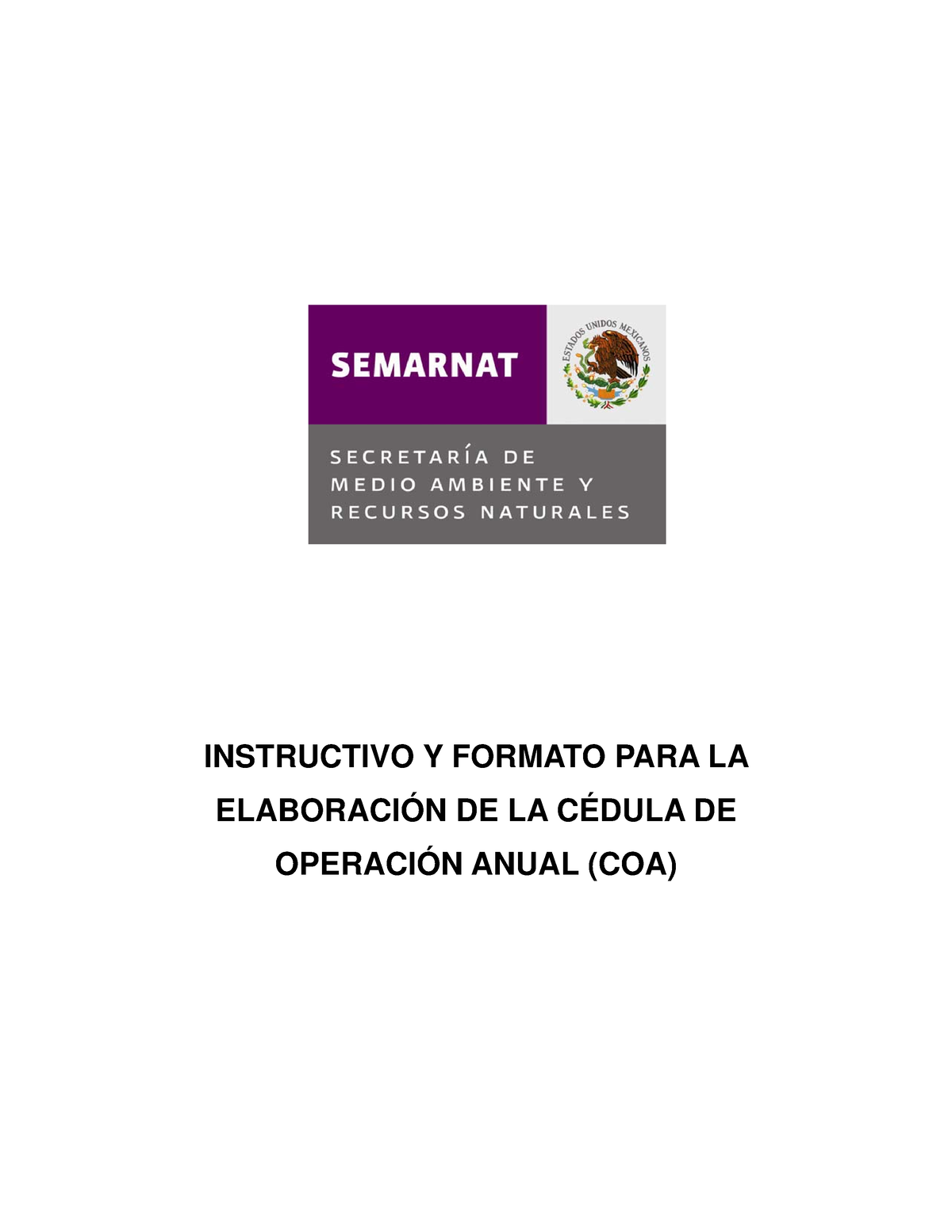 Formato Instructivo COA - INSTRUCTIVO Y FORMATO PARA LA ELABORACIÓN DE ...