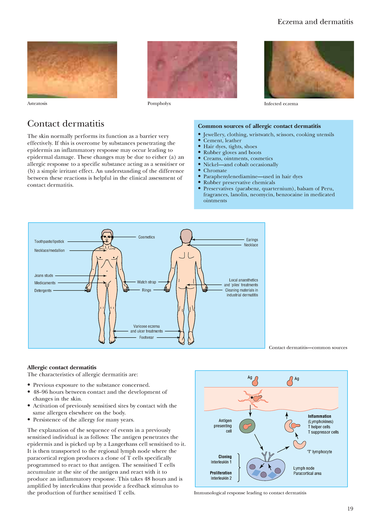 Dermatology-10 - Dermatology - Contact dermatitis The skin normally ...