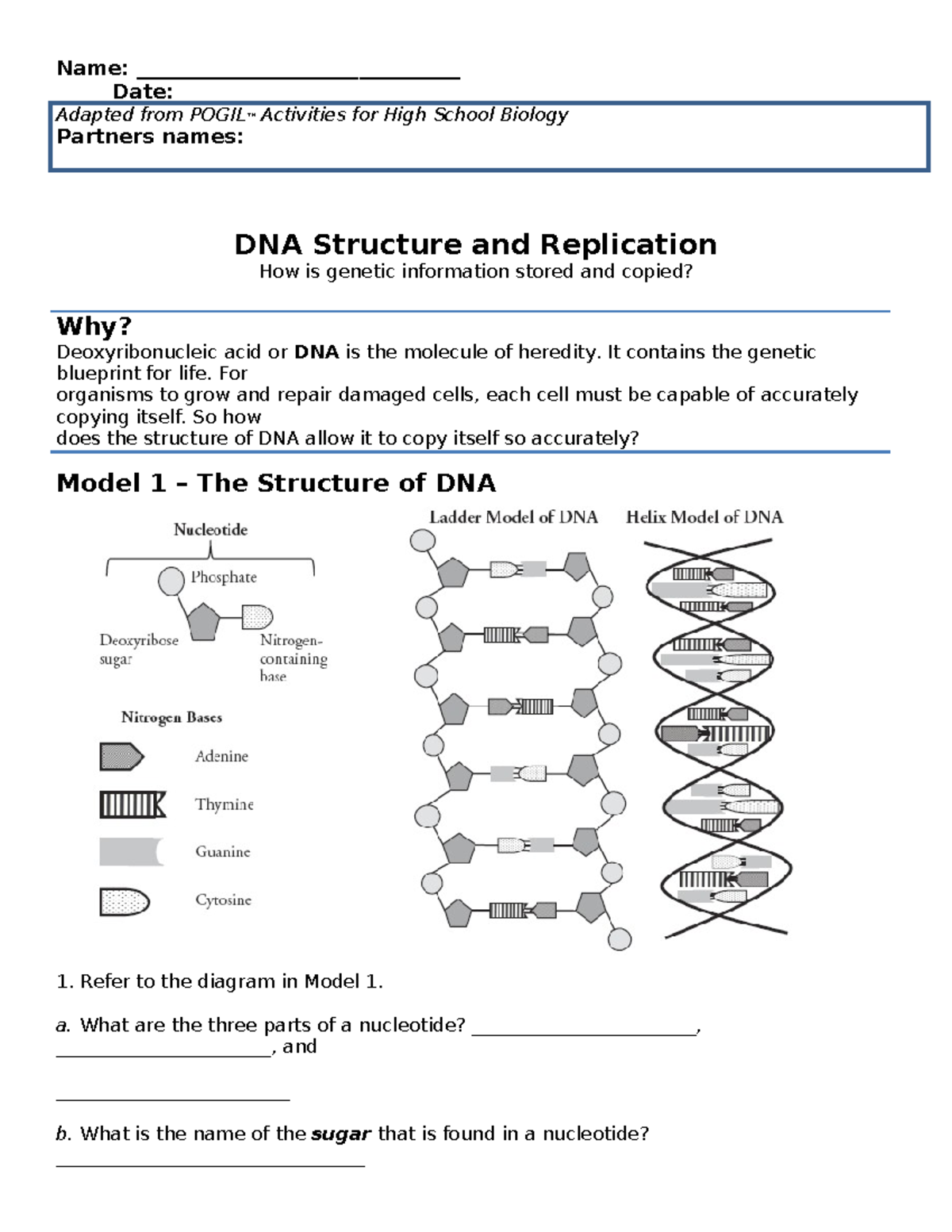 Gene Expression Made Easy: This Pogil Proves It! - uau1nto