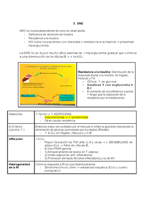 Enfermedades macrovasculares ADA - 12. Retinopathy, Neuropathy, and ...