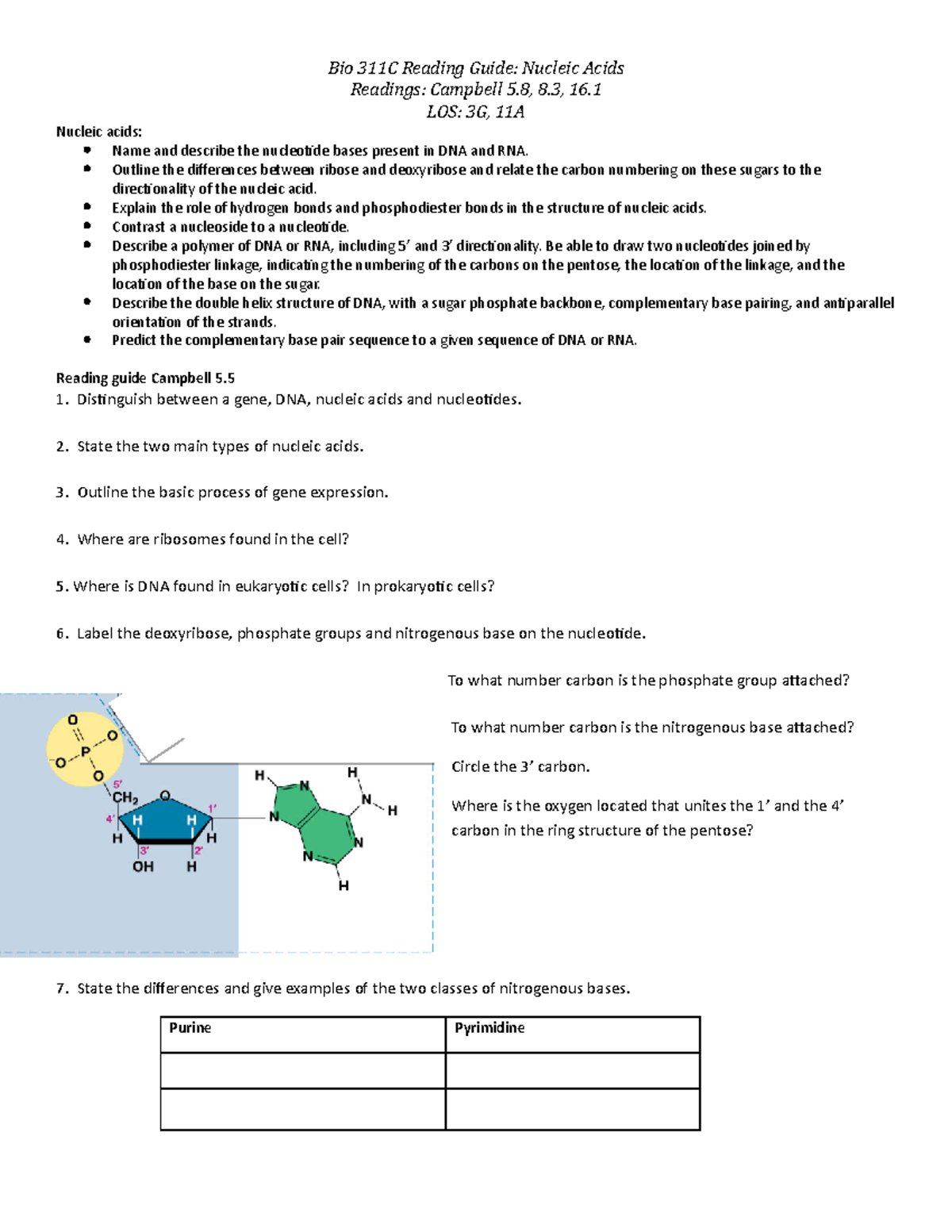 5 Nucleic Acids Study Guide Bio 311C Reading Guide Nucleic Acids