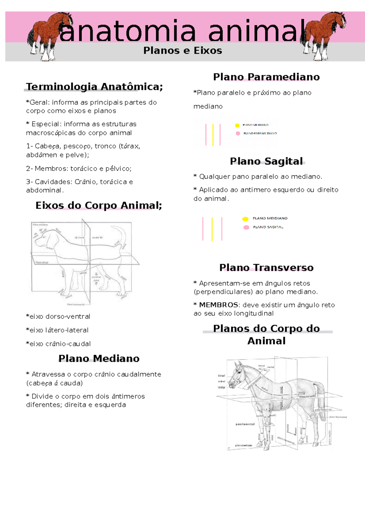 Planos E Eixos K Terminologia Anatômica Geral Informa As