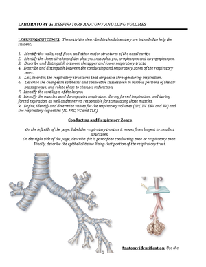 HSCI 103 Lab 5 Pre-Lab Worksheet - Deprecated API usage: The SVG back ...