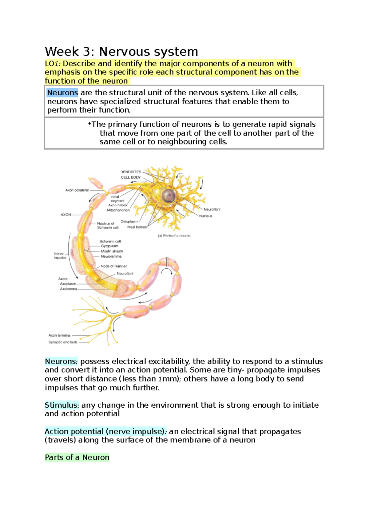 3. Nervous System HBA - Lecture notes fir HBA, Week 1, 2, 3 and 7 ...