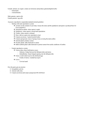 Full Handout Package (9-19-18) - FUNCTIONAL HUMAN ANATOMY LAB INTRO ...