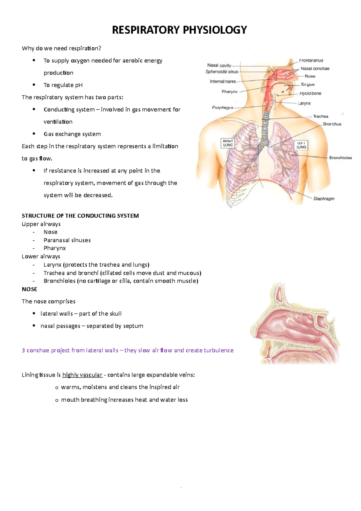 Respiratory System RESPIRATORY PHYSIOLOGY Why do we need respiration