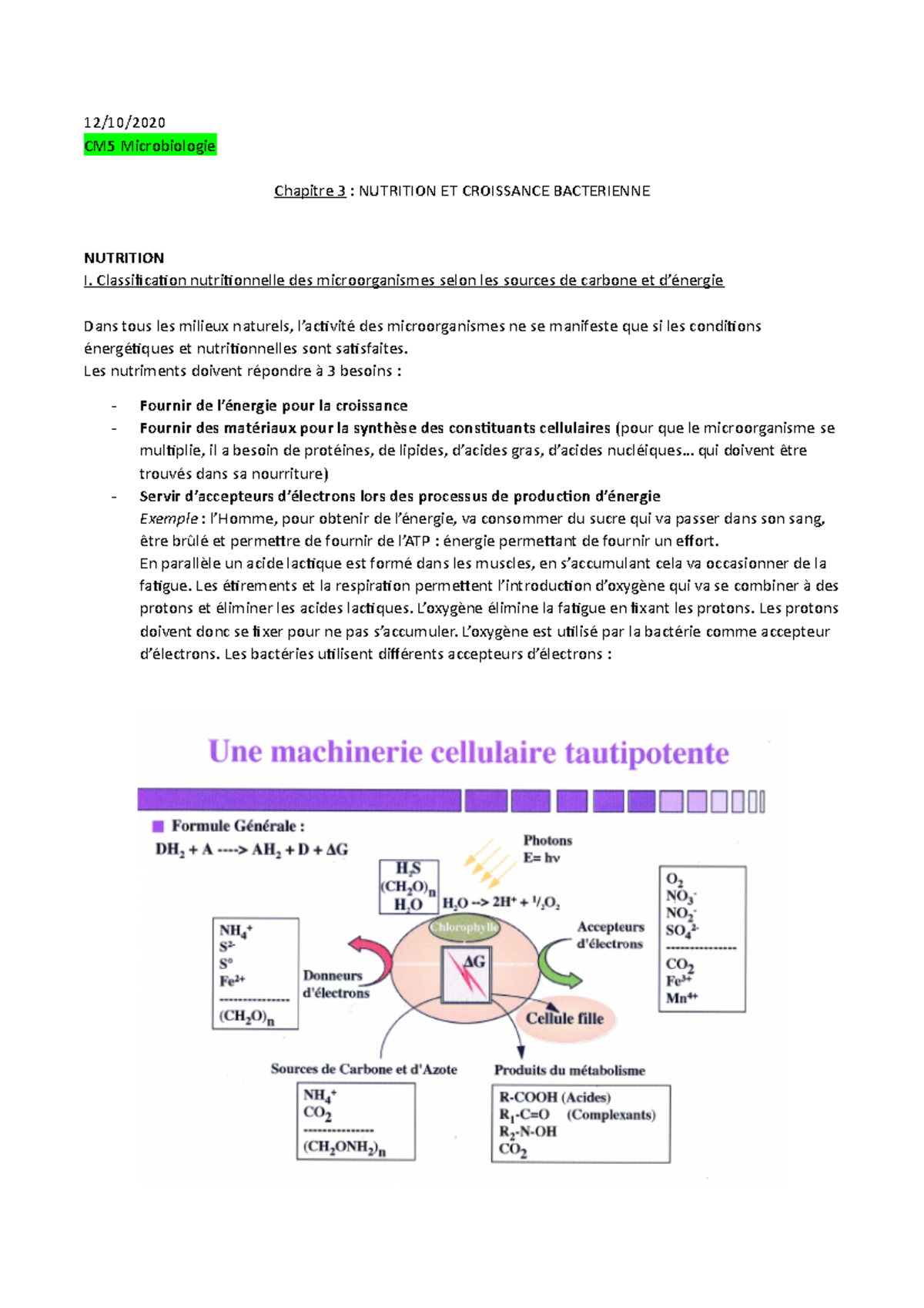 CM Microbiologie 5 - 12/10/ CM5 Microbiologie Chapitre 3 : NUTRITION ET ...