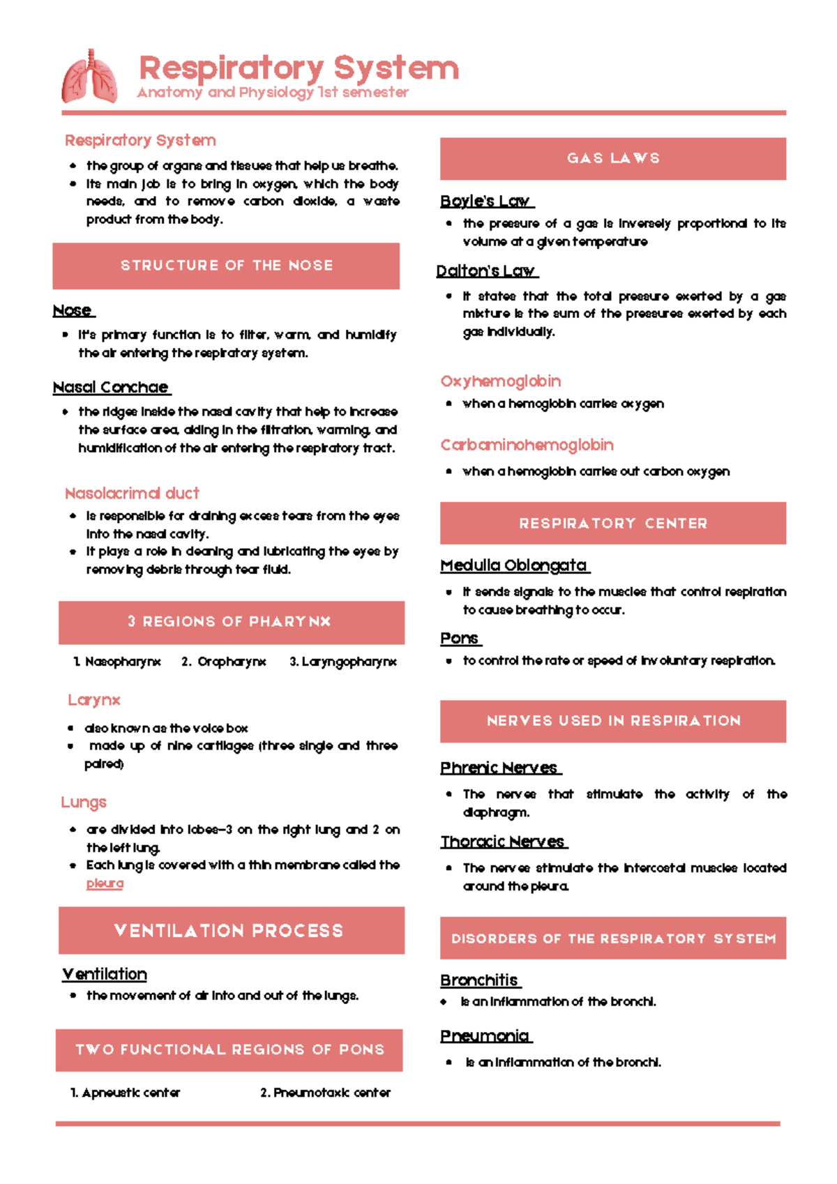 RespiratorySystemReviewer S T R U C T U R E O F T H E N O S E