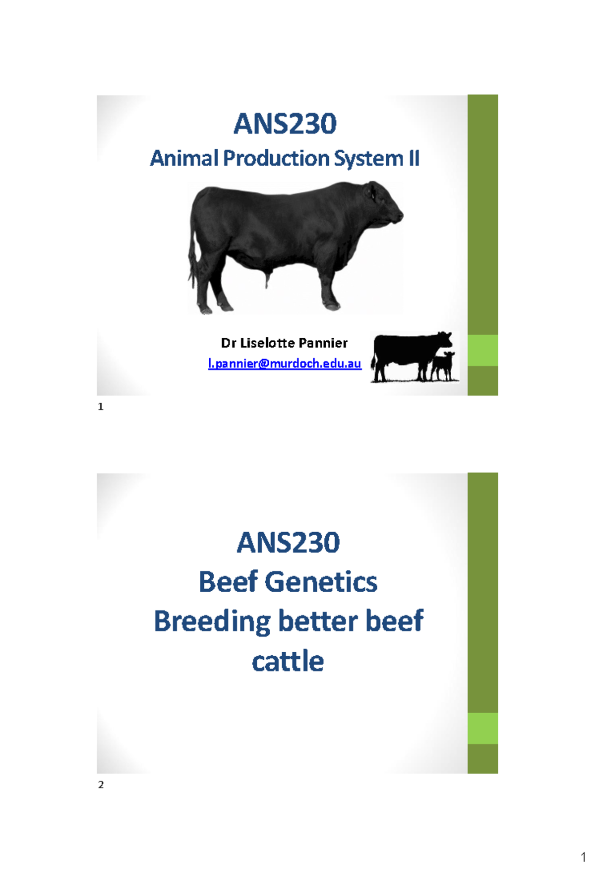 L8 Beef Genetics 2023 LPStudent - ANS Animal Production System II Dr ...