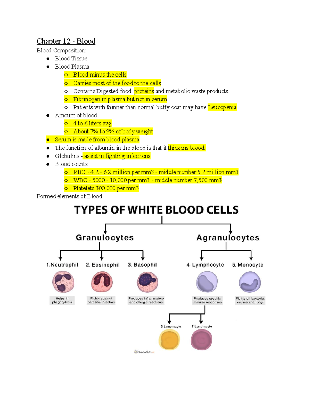 Week 6 AP notes - Blood - Chapter 12 - Blood Blood Composition: Blood ...