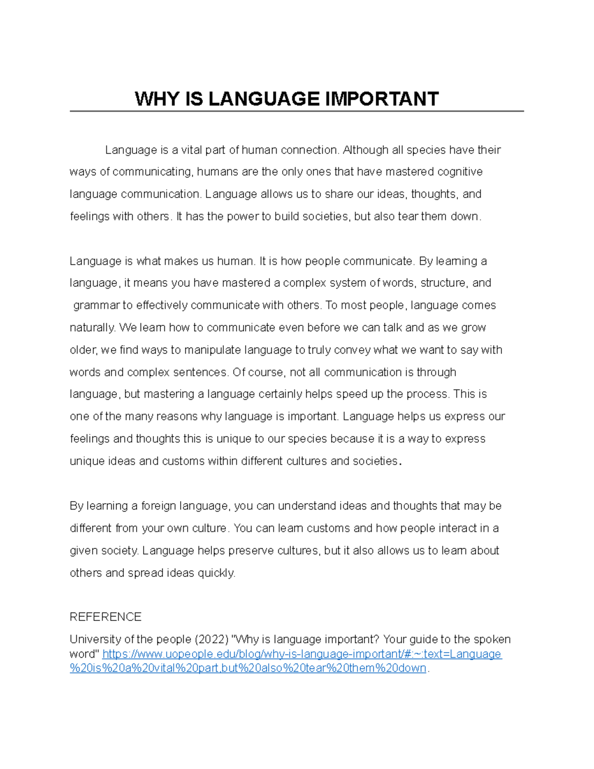 why is languages important essay