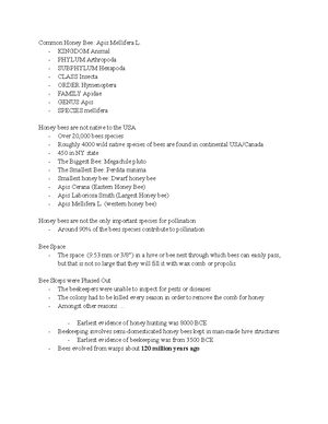 Statute Outline - Statute Outline - Studocu
