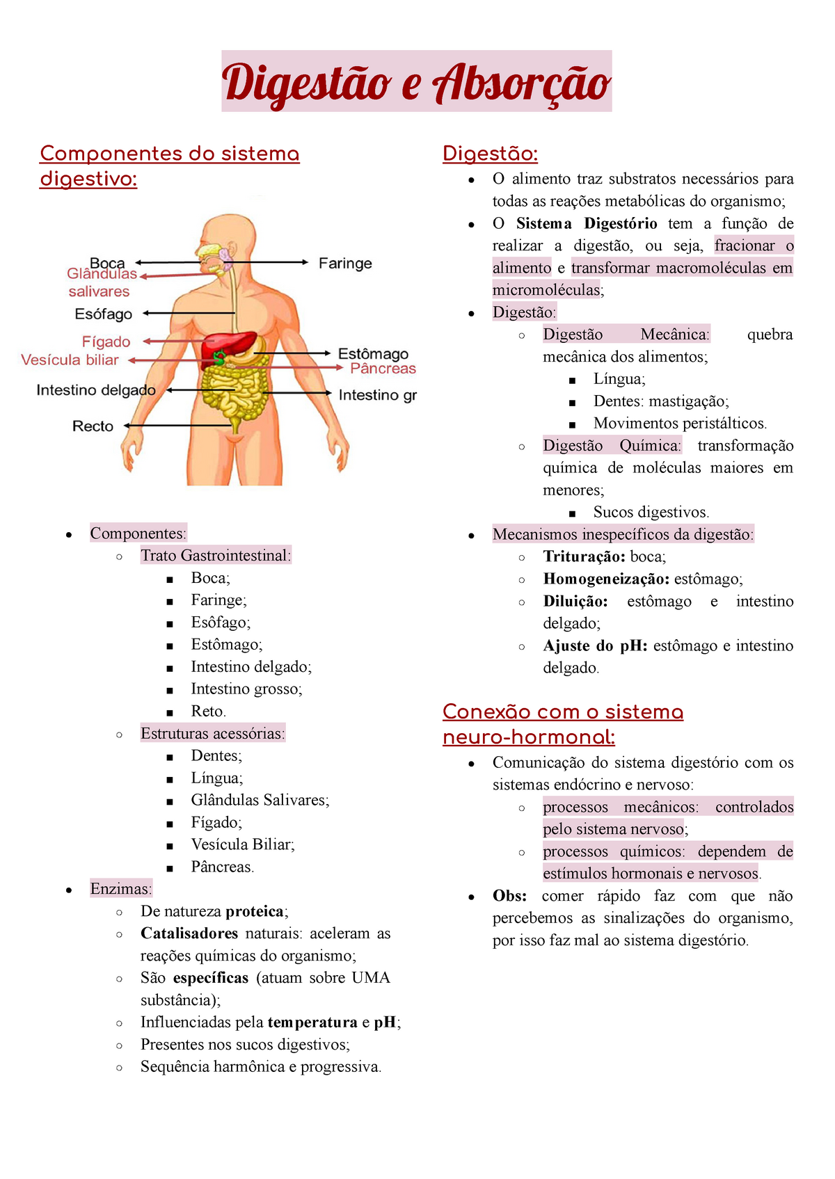 Digestão E Absorção De Nutrientes Digestã Aorçã Componentes Do Sistema Digestivo Componentes 8502