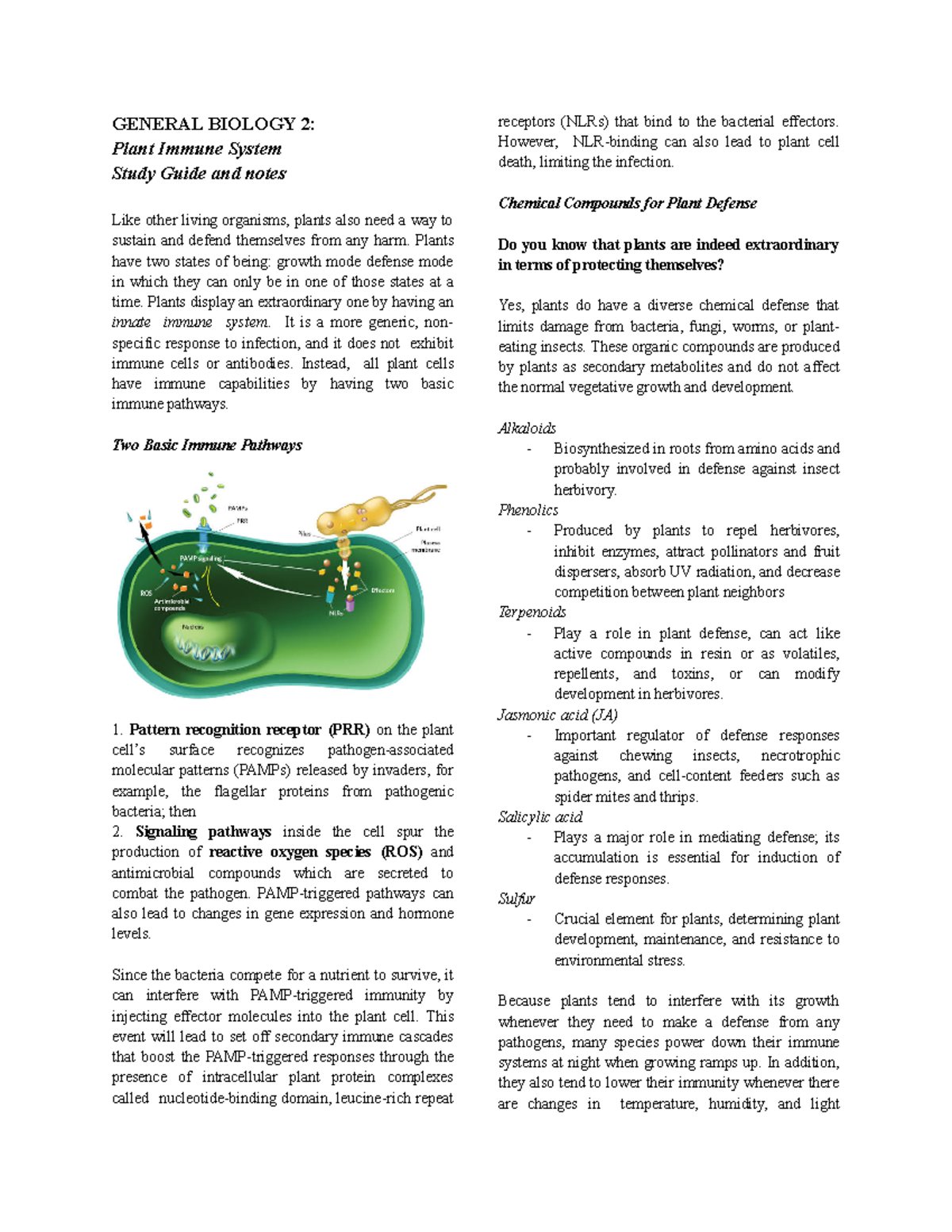 Plant Immune System GENERAL BIOLOGY 2 Plant Immune System Study