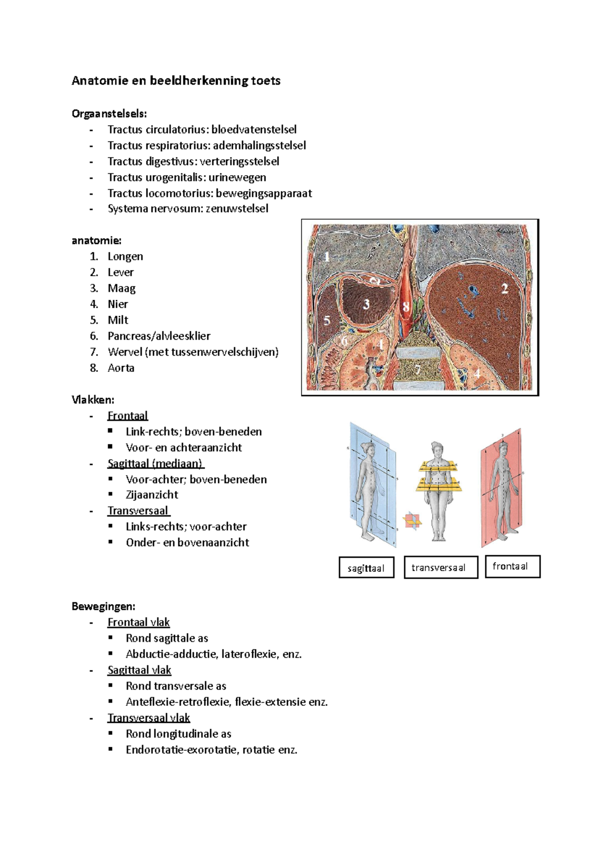 Anatomie En Beeldhekenning Toets - Anatomie En Beeldherkenning Toets ...