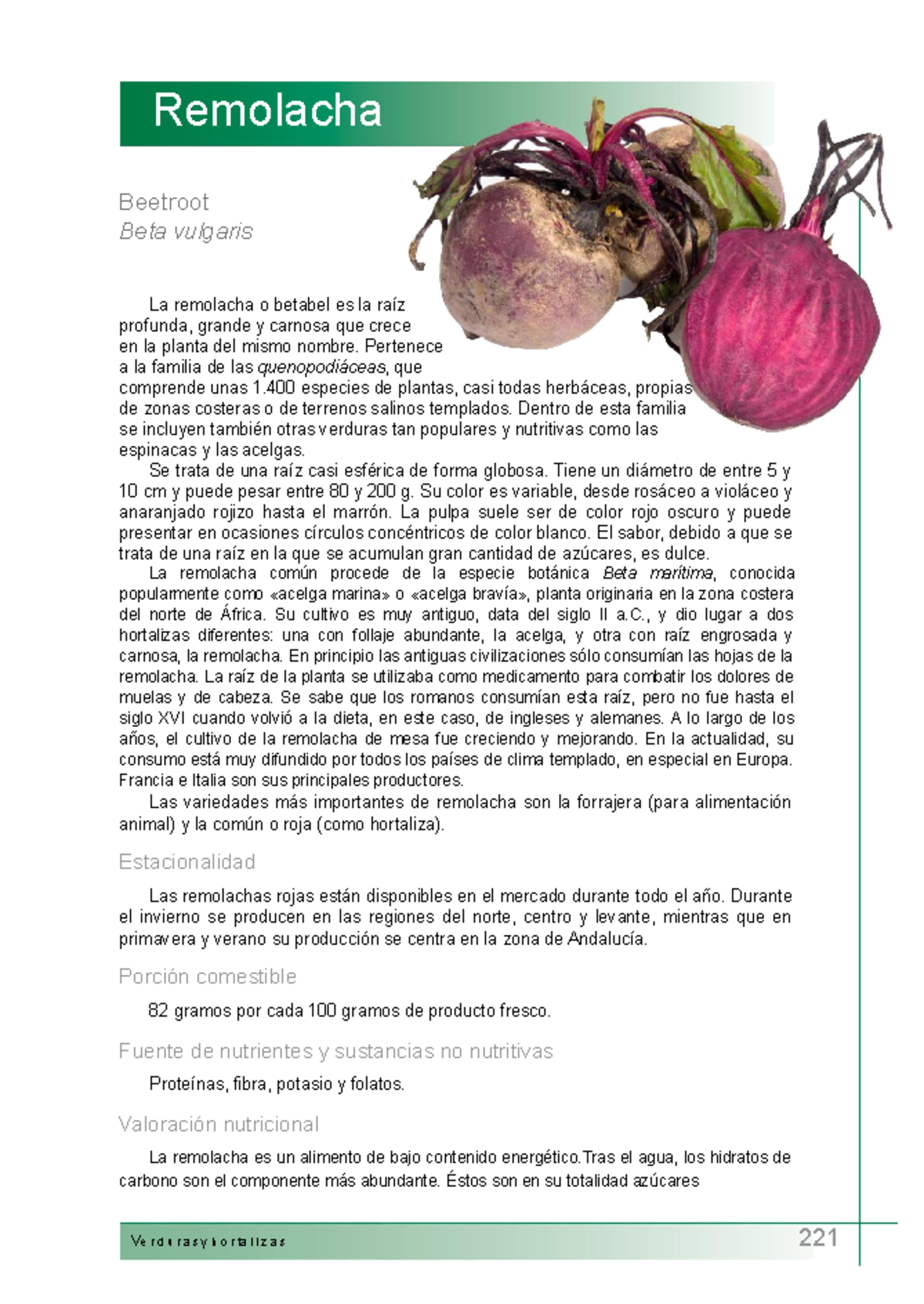 Remolacha - Remolacha Beetroot Beta Vulgaris La Remolacha O Betabel Es ...