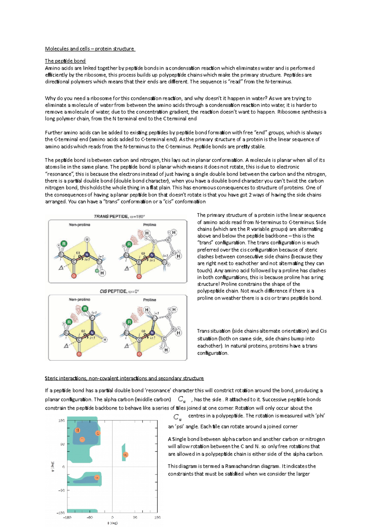 Molecules and cells lecture 4 protein structure Molecules and cells