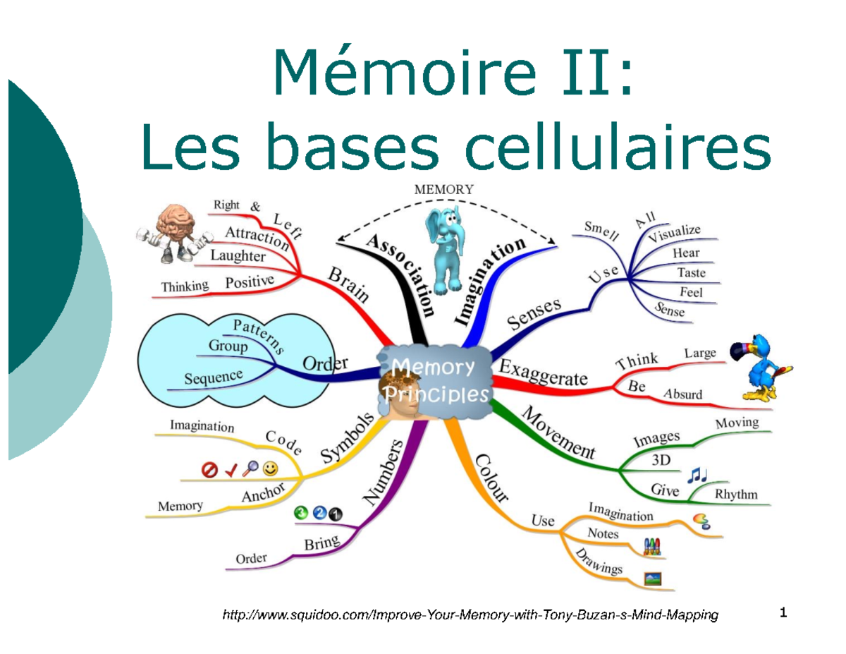 1pp Cours 2 - M%C3%A9moire II - H24 VE %28Arthur%29 - 1 Mémoire II: Les ...