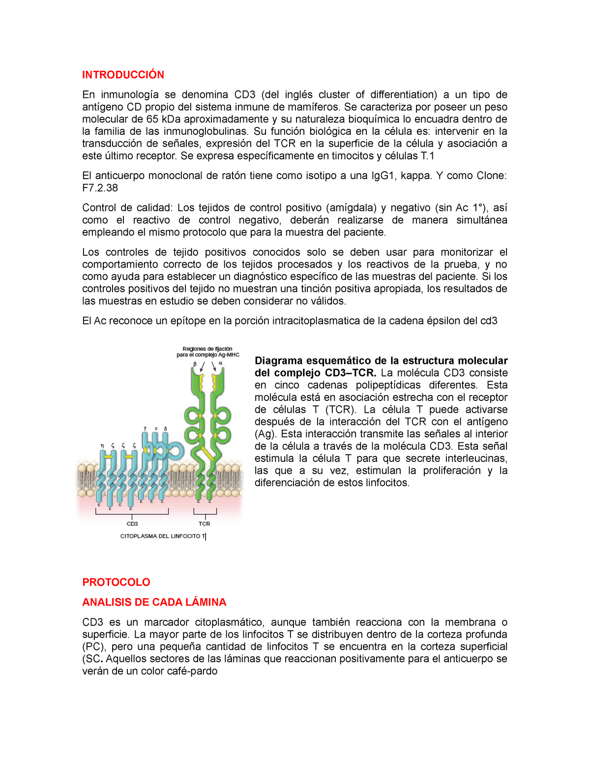 ganar recepción Visión Marcador cd3 - INTRODUCCIÓN En inmunología se denomina CD3 (del inglés  cluster of differentiation) a - StuDocu