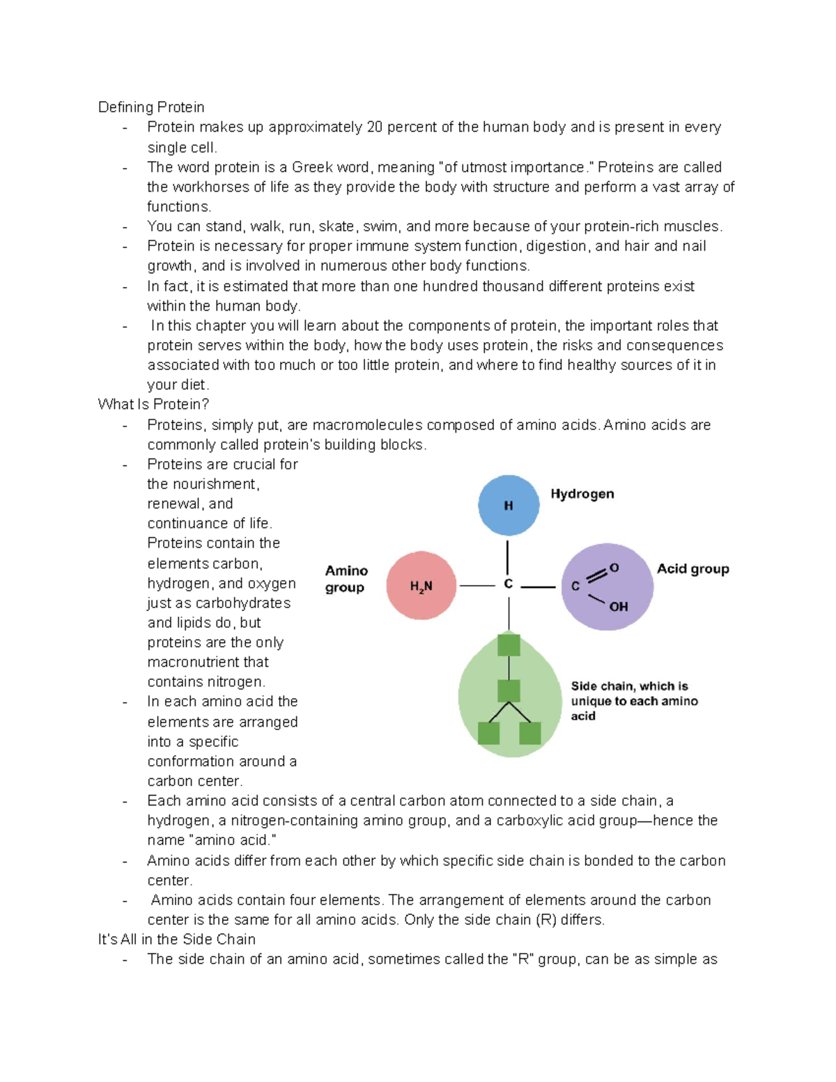 Ch 6-nutrition - Textbook Chapter Chapter 6 Notes - Defining Protein ...