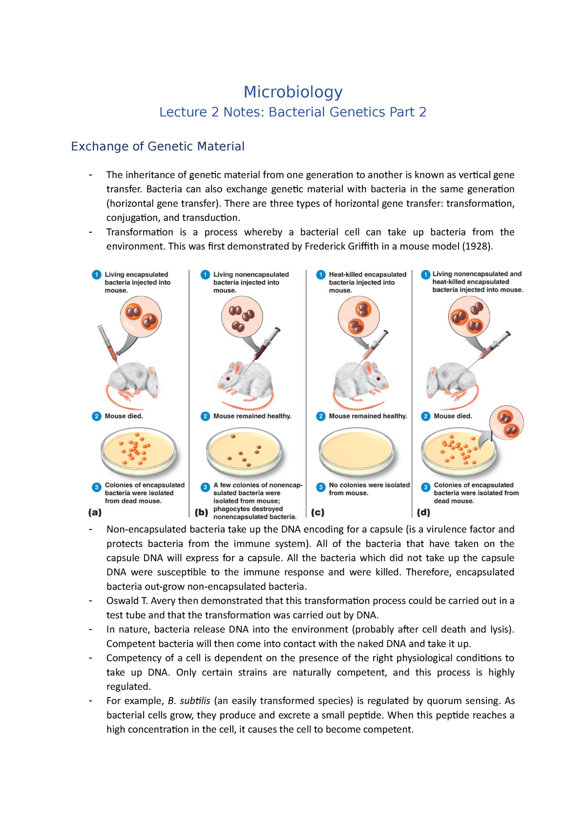 Lecture 2 Notes (Bacterial Genetics Part 2) - Microbiology Lecture 2 ...