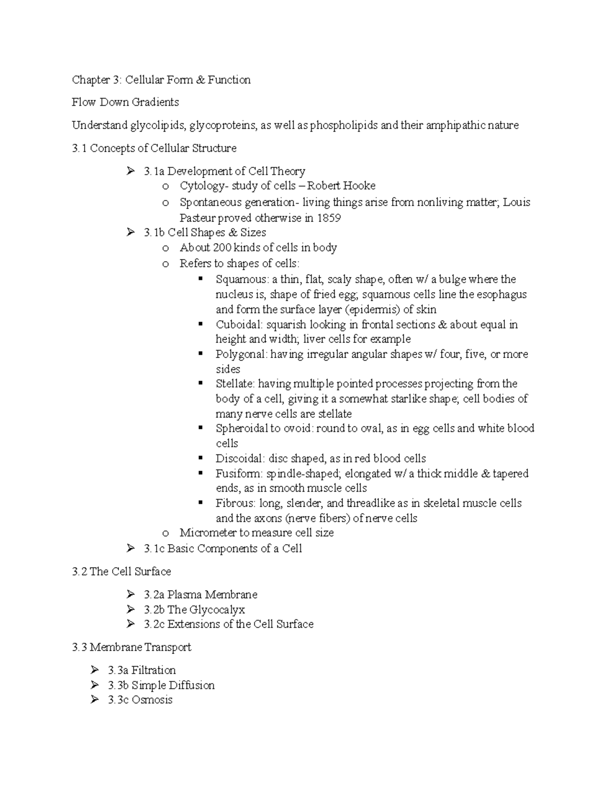 Chp 3 Anatomy notes - Chapter 3: Cellular Form & Function Flow Down ...