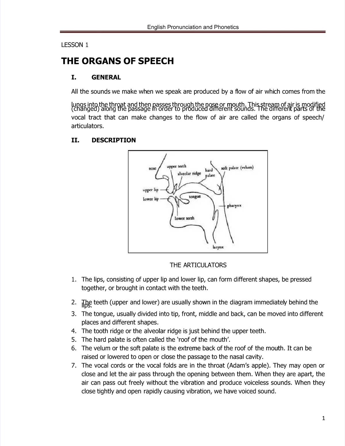 Pdf-ngu-am-am-vi-hoc compress - LESSON 1LESSON 1 THE ORGANS OF ...