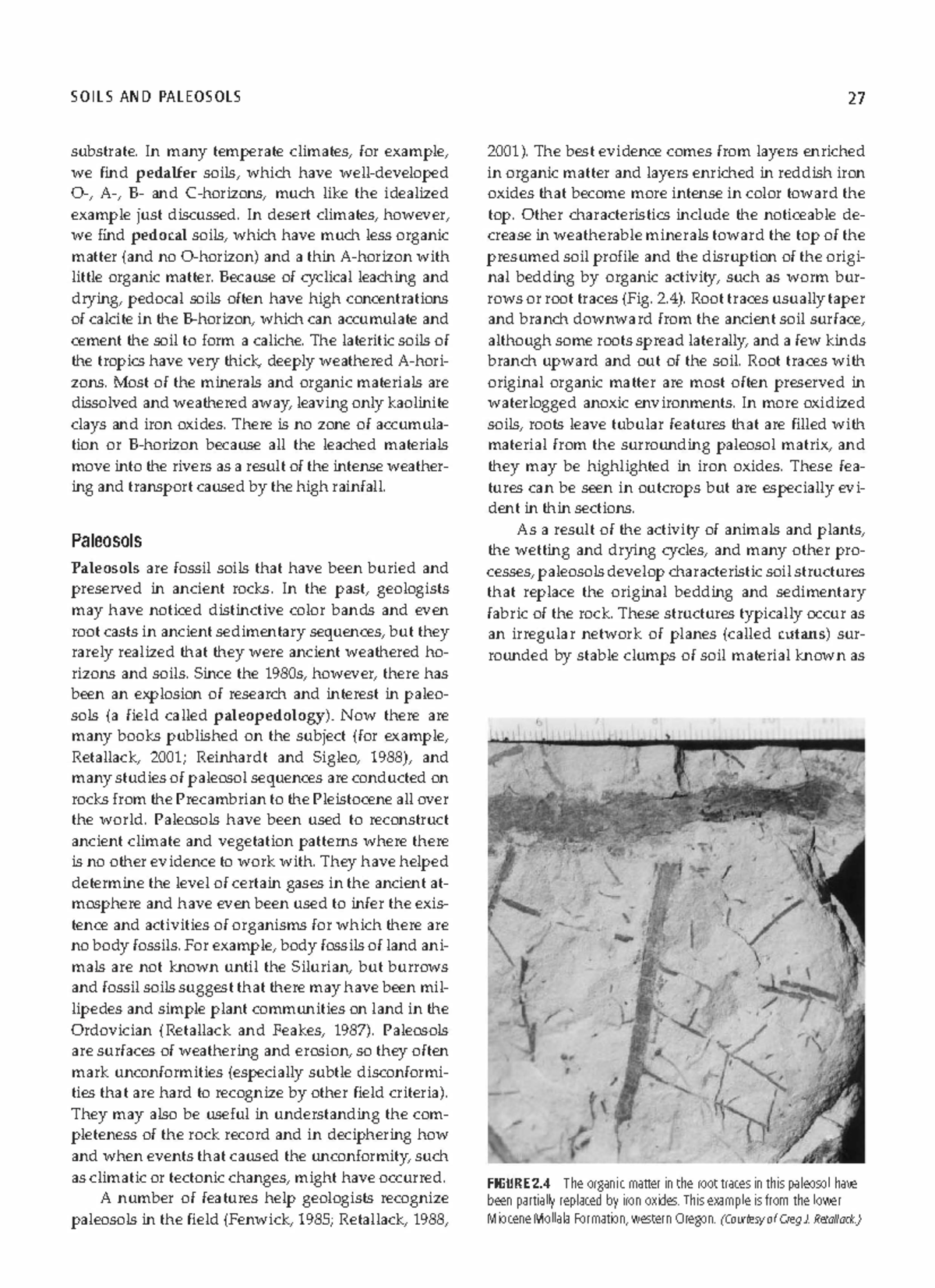 Sedimentary Geology ( PDFDrive )5 SOILS AND PALEOSOLS substrate. In