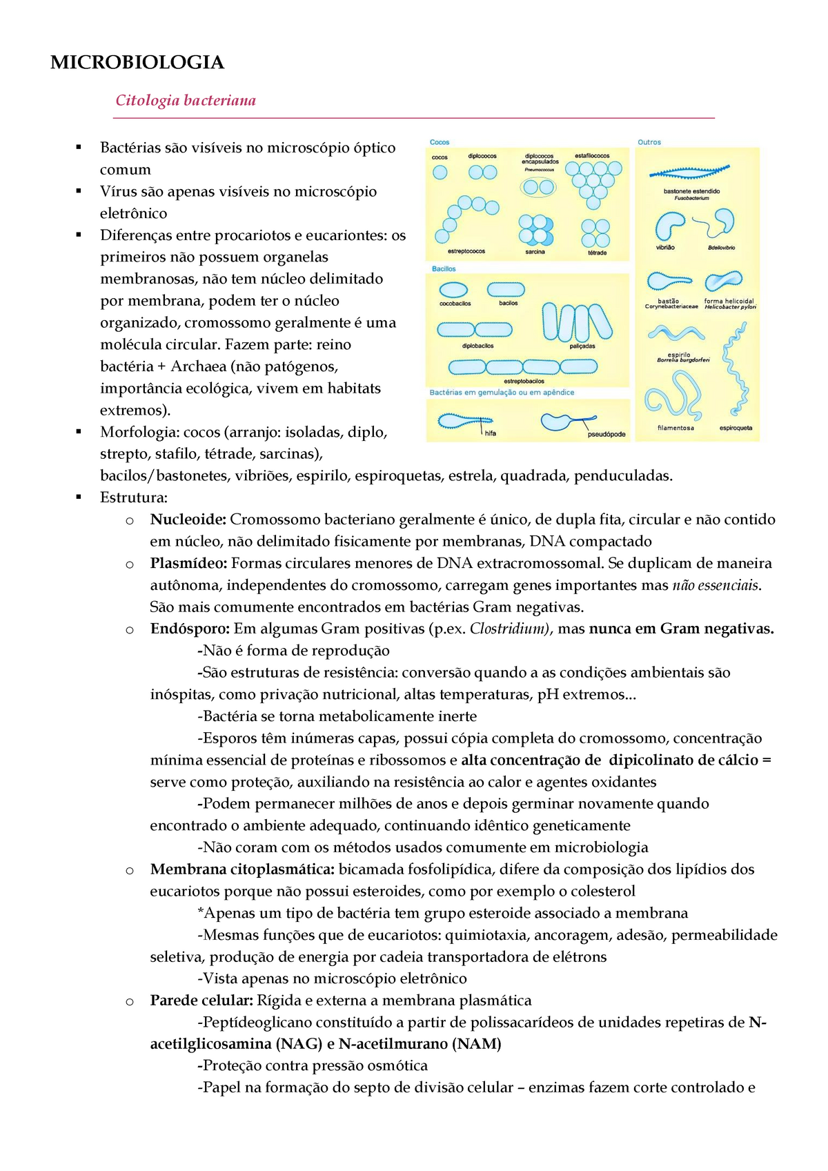 Resumo Completo Microbiologia Microbiologia Citologia Bacteriana Bact Rias S O Vis Veis No