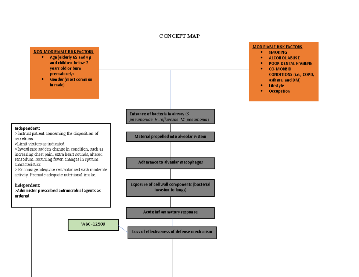 Concept Map of Adenocarcinoma of the Prostate - CONCEPT MAP MODIFIABLE ...