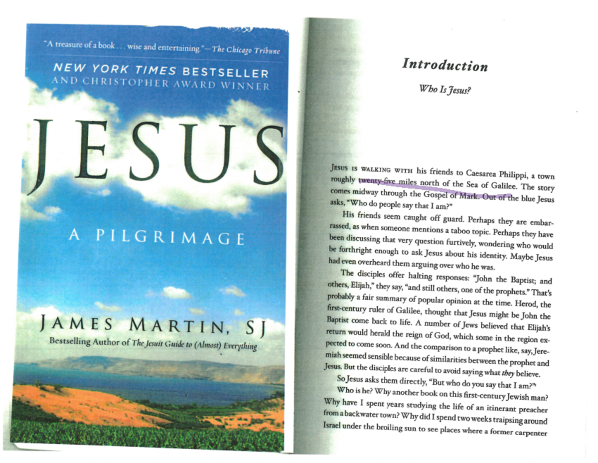 An Introduction Jesus a Pilgriamge A treasure of a book