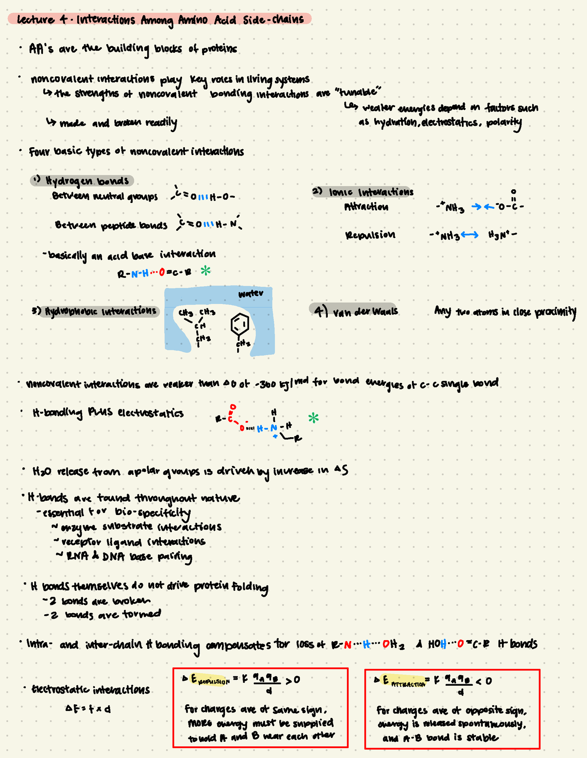 L4 - Amino Acid Interactions - Lecture & Interactions Among Amino Acid 