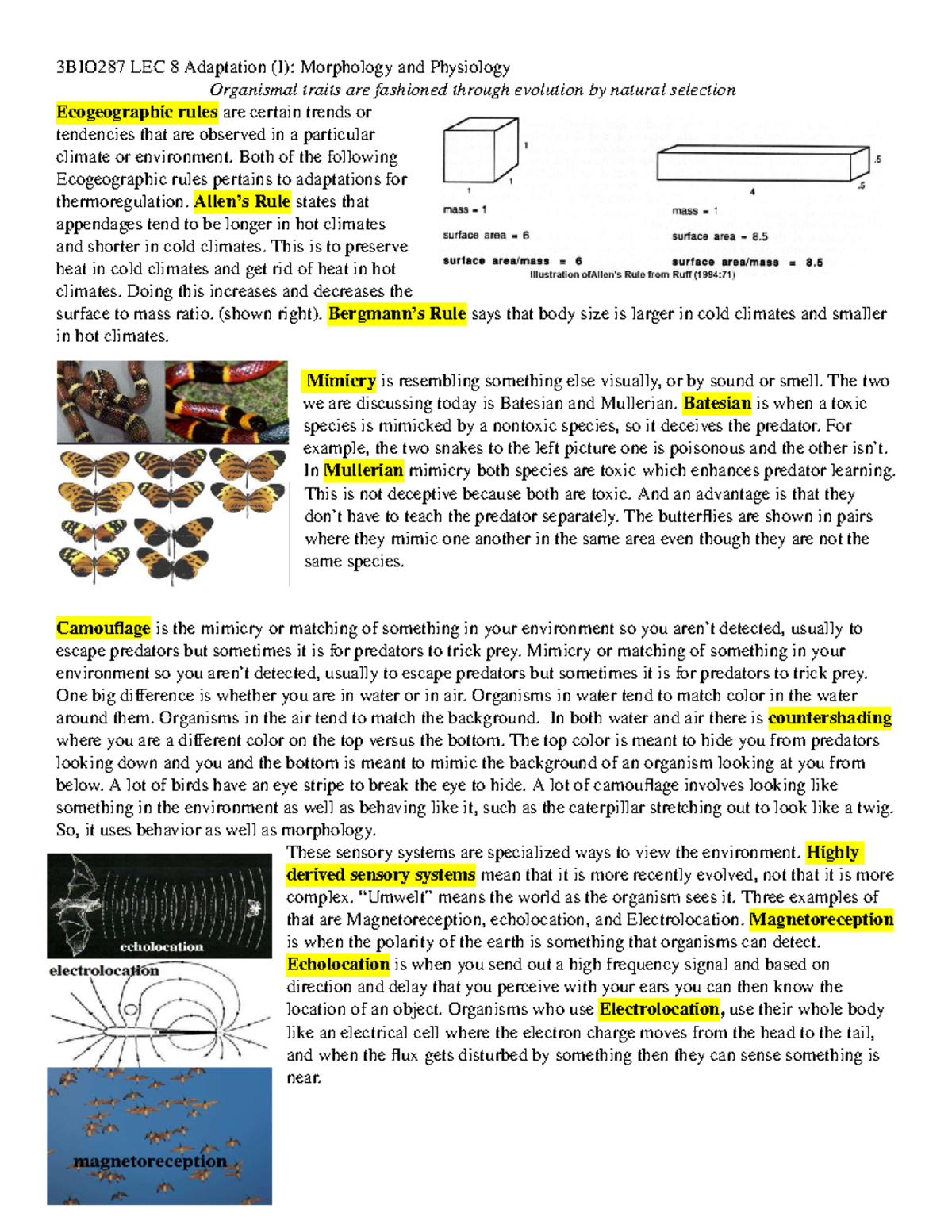 BIO287 LEC8 Outline - Lecture notes 8 - 3BIO287 LEC 8 Adaptation (I ...