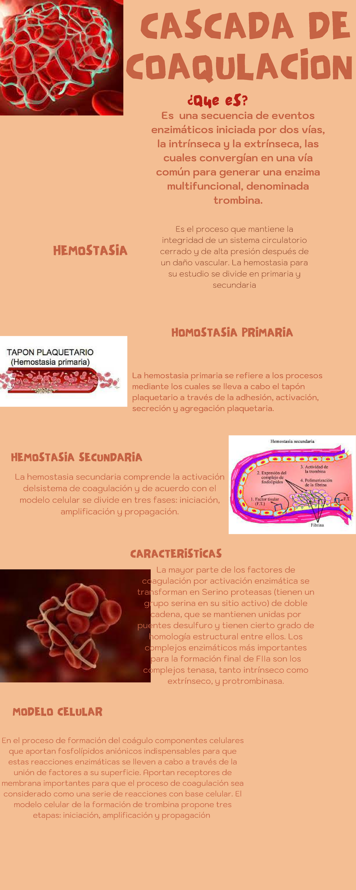 Cascada DE Coagulación Tarea para entrega - Anatomía - UNAM - Studocu