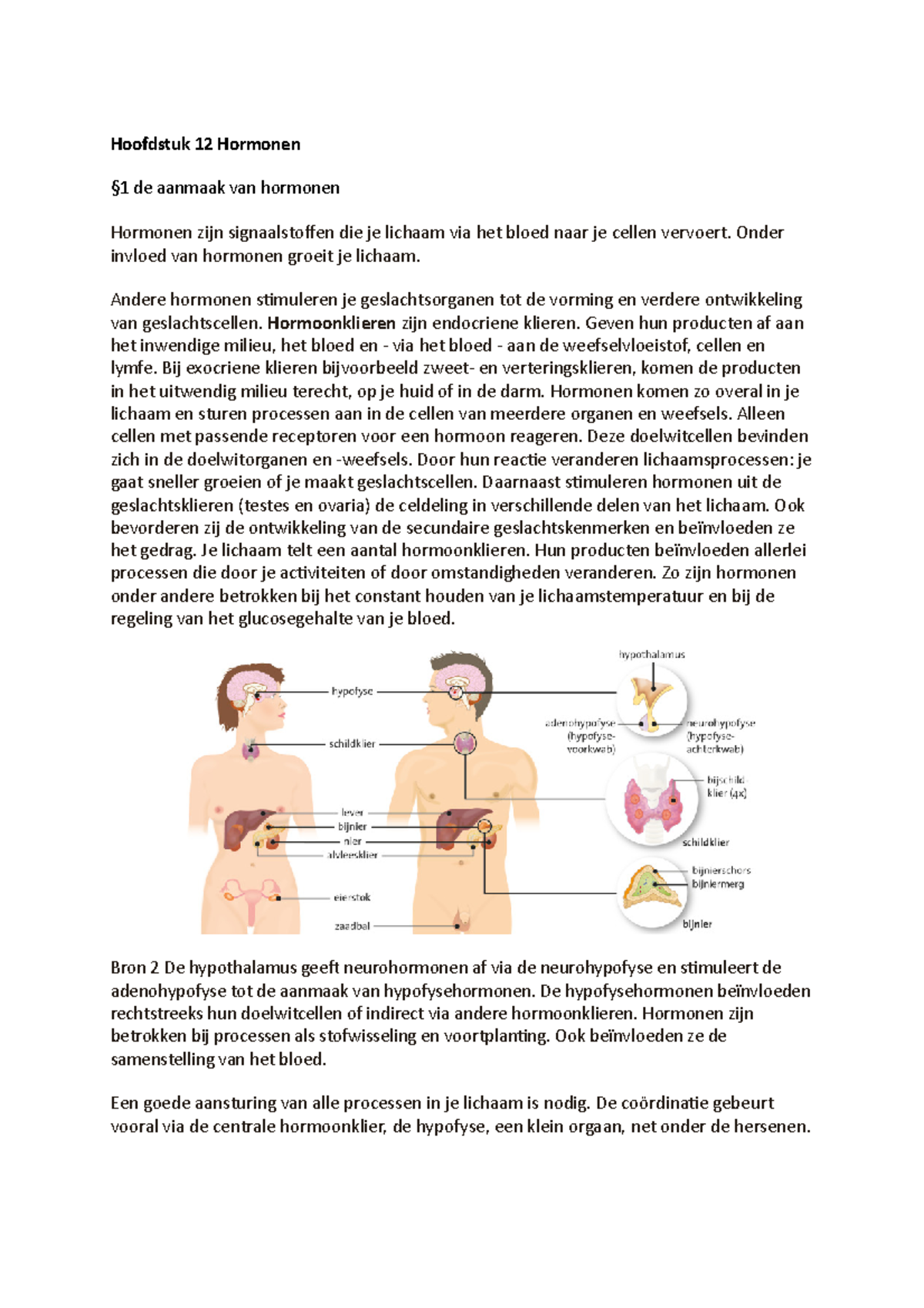 Biologie Samenvatting H12 Hormonen + H13 Zenuwstelsel - Hoofdstuk 12 ...